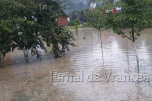 Un pârâu a făcut ravagii pe DN2D