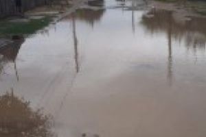 Video/ Foto: Strazile acoperite de apa ingrozesc locuitorii Brailei