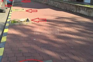 Primarul Ion Lungu, acuzat că face defrişări după bunul plac în municipiul Suceava