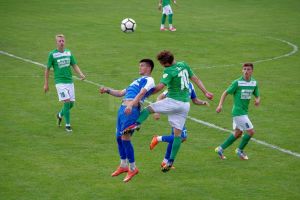 Foresta are la dispoziţie două săptămâni pentru a lua 800.000 de lei de la Primăria Suceava