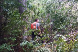 NEWS ALERT/ Amplă OPERAŢIUNE de CĂUTARE a unei persoane DISPĂRUTE ÎN PĂDURE