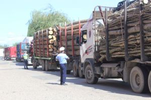 Camion încărcat cu material lemnos fără documente de provenienţă, oprit de poliţişti la Șard