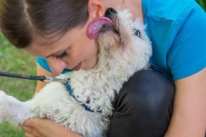 Deţinuţii vor fi reabilitaţi cu ajutorul câinilor salvaţi de la moarte