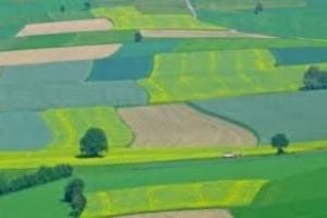 TOPUL latifundiarilor străini din România. Cine sunt afaceriştii care s-au ÎMBOGĂŢIT din terenuri româneşti