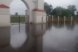 Dupa ploaie, Hipodromul Ploiesti ne intampina cu o balta de toata frumusetea