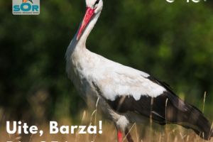 Enel si SOR lansează versiunea 2.0 a aplicatiei ”Uite, Barza!”