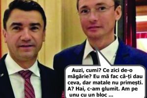 Am un leu şi vreau să-l …dau
