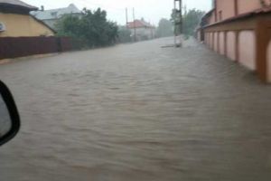 Strazi, curti si subsoluri inundate in urma precipitatiile abundente