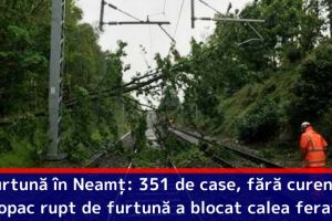 Ploi şi inundaţii în Neamţ: 351 de case, fără curent electric. Copac rupt de furtună a blocat calea ferată