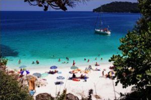 Info								 VACANȚE şi CĂLĂTORII