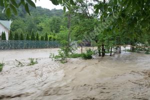 MORENI: Viitură incredibilă pe Tisa, un pârâiaş care seacă pe timpul verii