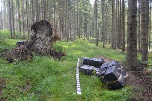 Aproape 14.000 de pachete de ţigări reţinute, cu focuri de armă, în vederea confiscării