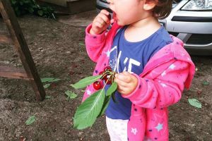 La 2 ani, o fetiţă din Suceava nu are încă certificat de naştere şi o cheamă „- Eva”