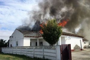 Incendiu violent la o căşărie din judeţul Constanţa