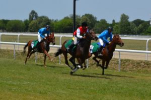 Prima cursă de galop parte dintr-un calendar internaţional