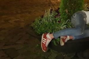 Cluj: Un tânăr ”obosit” a adormit într-un rondou de flori, în Piaţa Muzeului - FOTO