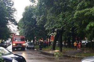 FOTO. Un copac s-a rupt în Micro 14, în urma furtunii