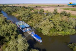 În atenţia dâmboviţenilor care merg în Delta Dunării! În judeţul Tulcea a fost semnalat pesta porcină africană