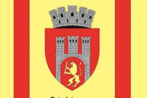 Sighişoara are, oficial, un steag!