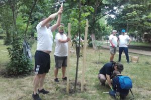 LIVE, de la eveniment! Continua actiunea de montate a tutorilor si de ingrijire a copacilor, in Parcul din Tomis II (galerie foto-video)