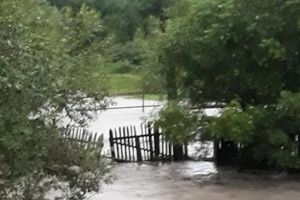 Avarii la reţele electrice şi curţi inundate, după ploile de joi noaptea