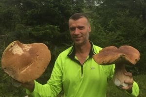 Uluitor cât de mari au crescut hribii! Cum arată ciupercile din Munţii Călimani (FOTO)