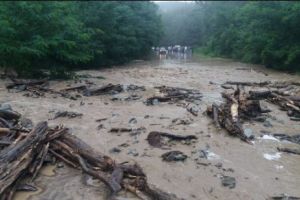  Imagini apocaliptice pe DN57. Se circulă pe jumătate de sens