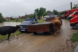 Gospodării afectate de inundaţii; persoane în curs de evacuare, în Băcel şi în Lunca Mărcuş