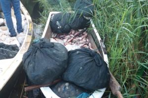 Judetul Tulcea. Peste 600 kg de peste si plase de pescuit, confiscate de politistii de frontiera! (galerie foto)
