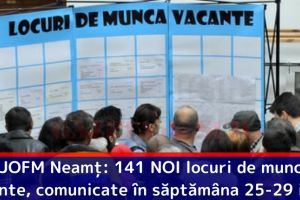 AJOFM Neamţ: 141 NOI locuri de muncă vacante, comunicate în săptămâna 25-29 iunie