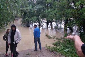 Situatia pagubelor din judet