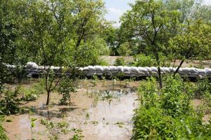 Inundatiile fac prapad in toata tara. O femeie a murit in propria casa