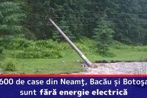 Delgaz Grid (E.on): 4.600 de case din Neamţ, Bacău şi Botoşani sunt fără energie electrică