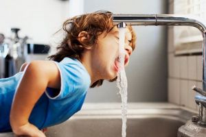 Apa şi organismul: Bolile transmise prin apă