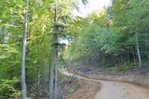Investiţie pe drumul forestier Niraju Mic