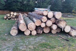 Trei firme din Bilbor controlate de poliţişti. S-a lăsat cu amenzi şi material lemnos confiscat