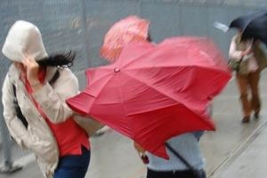 Alertă meteo de vânt puternic în judeţul Satu Mare