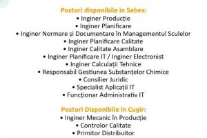 (P) Cum poţi găsi postul potrivit pentru tine?