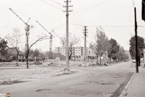 Toţi la bloc! Peste 2.000 de case au fost demolate în Oradea între anii 1972-1989 pentru a face loc cartierelor de blocuri (FOTO)