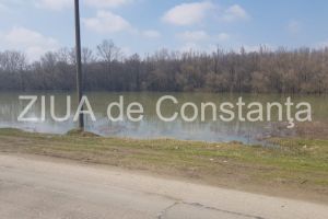 Un barbat a fost luat de viitura in judetul Neamt. Trupul acestuia, gasit la cativa kilometri distanta