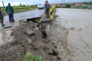 Ploile torenţiale au făcut multe pagube în judeţ şi au inundat 53 de case