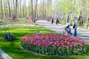 Licitaţie pentru două noi parcuri în Piteşti