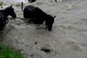 Bărbat luat de viitură la Corbi