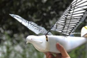 A întrecut chiar şi filmele SF. Unul dintre cele mai dezvoltate state ale lumii a inventat ”PORUMBELUL”, ultima invenţie în spionajul modern