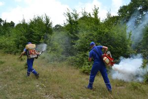 O nouă etapă a campaniei de dezinsecţie terestră la Deva