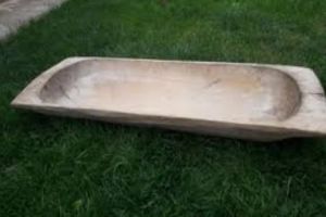 VASLUI. Fetiţă de doi ani înecată într-o copaie de rufe, cu apă de ploaie