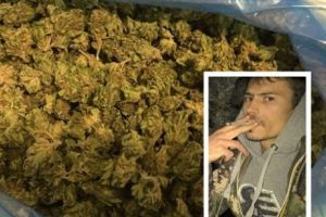 BÂRLAD. Un traficant de droguri a declarat că 20 de kilograme  de cannabis erau pentru consum propriu