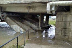 Lungu şi Harşovschi, acuzaţi de Cuşnir că obligă oamenii „să se deplaseze ca oile ...