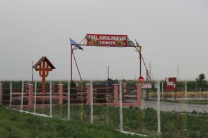 Piaţa din Cosmeşti, o afacere cu iz penal a marii familii PSD