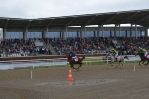 Premii şi invitaţii din partea Şeicului Mansoor Bin Zayed al Nahyan